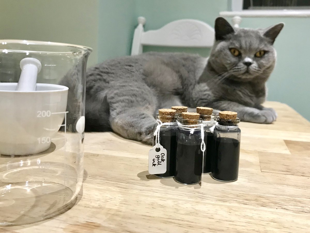Here's a thread about the iron gall ink I have just made. I’m not artistic, crafty or very in tune with nature, but as someone who researches medieval manuscripts, I wanted to experience the process. And surprisingly, so did my cat  #heritagecrafts  #irongallink  #medievaltwitter