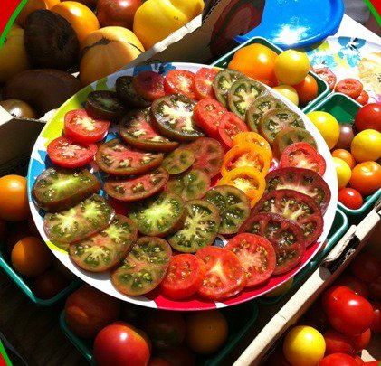 BrysonFarms's tweet photo. During tomato season, we offer free samples of many of our 300 varieties of "real" heirloom tomatoes on Saturdays  @OttawaFarmMkt in Westboro (9:30am-3pm) and on Sundays at Lansdowne Park (9am-3pm). Those "fake" tomatoes available everywhere just aren't real tomatoes! https://t.co/kBlWQYpTEF