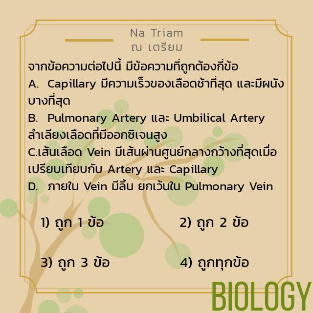 natriam667's tweet photo. โจทย์ชีวะมาแล้วน้าาา ตอบข้อไหนกันบ้างงง 🥀🍃
#TU81 #TU82 #TU83 #TU84 #TRIAMUDOM #NATUNATRIAM https://t.co/afjshouXAE