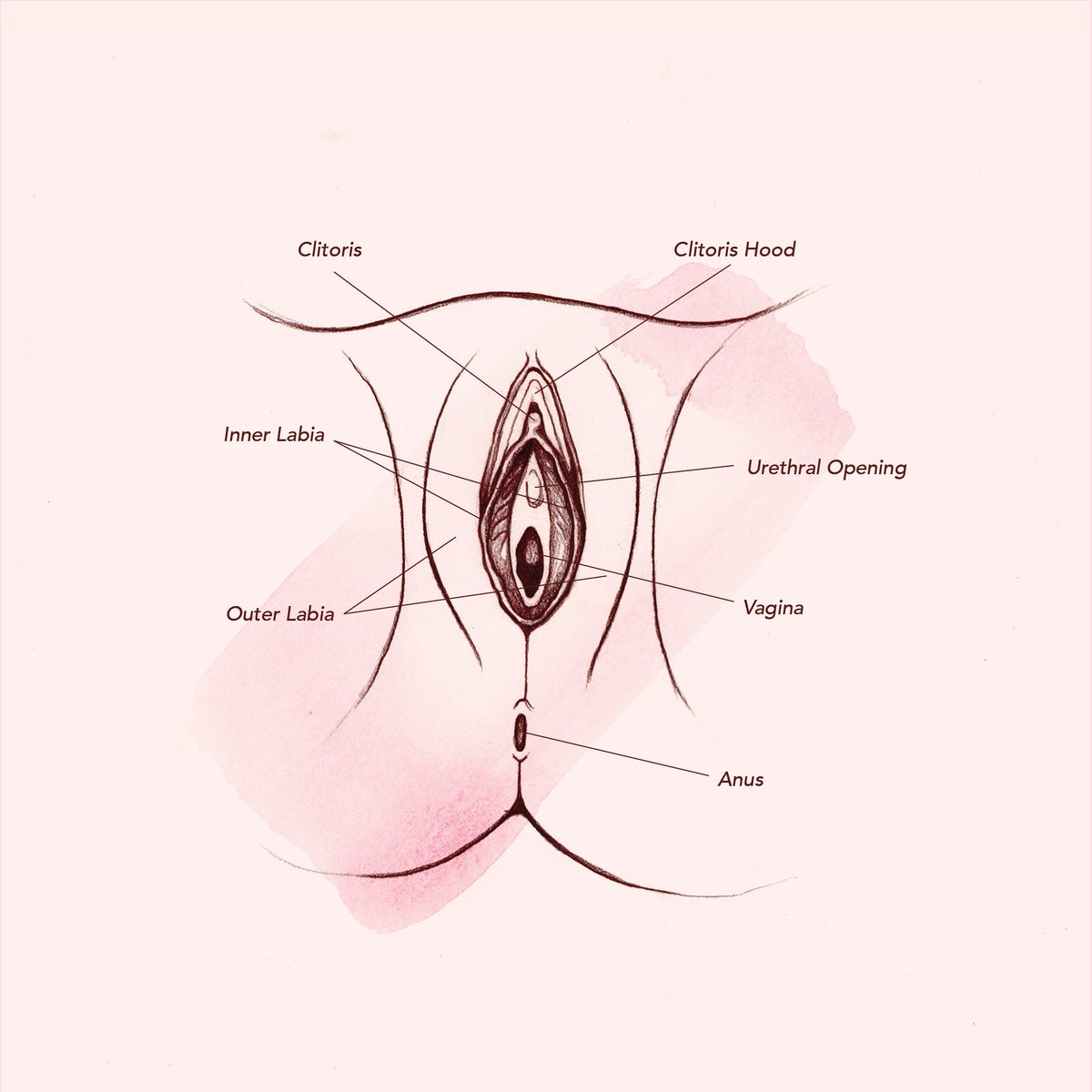 Lopsided vagina