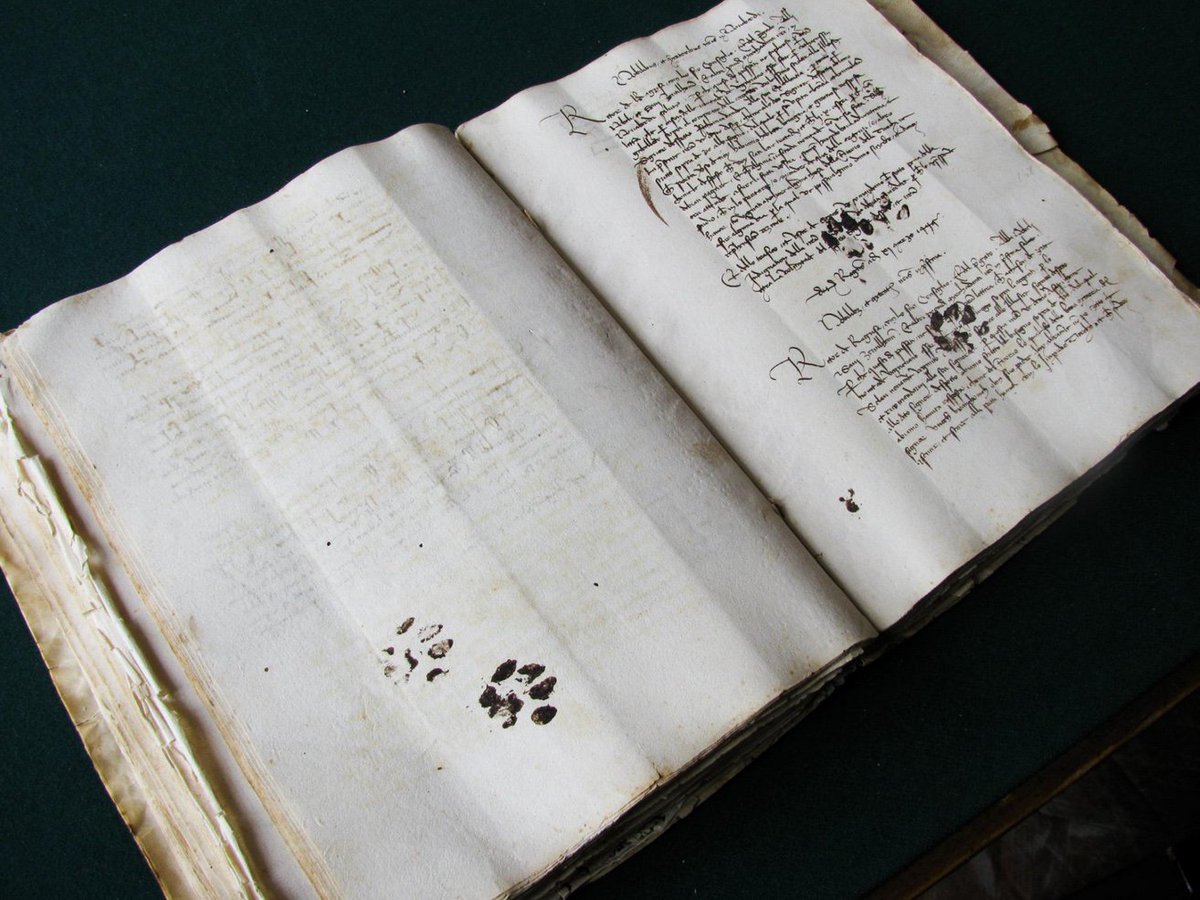 11. We don’t want a repeat of this: http://museum-of-artifacts.blogspot.com/2015/10/inky-paw-prints-left-by-cat-on-15th.html Photo: Emir O. Filipović