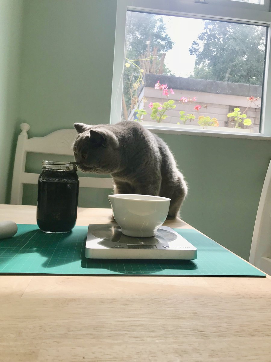 14. After a few more days, the next step was to grind up 25 grams of gum arabic into powder. Chloe was now fully onboard with the ink-making process.