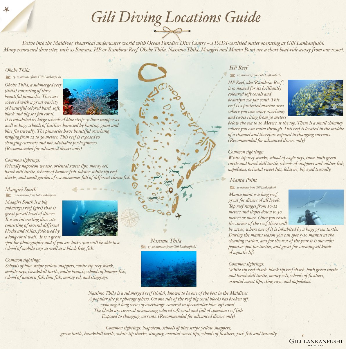 Gili Lankanfushi On Twitter Discover The Magnificent Dive Sites