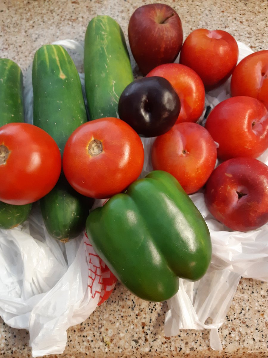 _SharonWiggins's tweet image. We got it #freshersguide18 from the #GardenersWorld #socialmedia #eats #fridayfeeling #housingthehomeless #wecare #BeBest