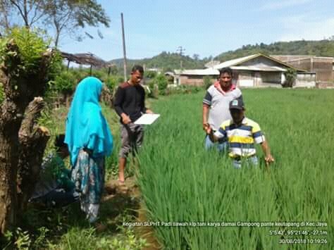 thlpoptaceh's tweet image. Umur tdk mengurangi semangat dlm memasyarakatkn PHT
@ditlin_tp 
@THLPOPTNASIONAL 
@distan_tph_aceh 
#SalamPerlintan