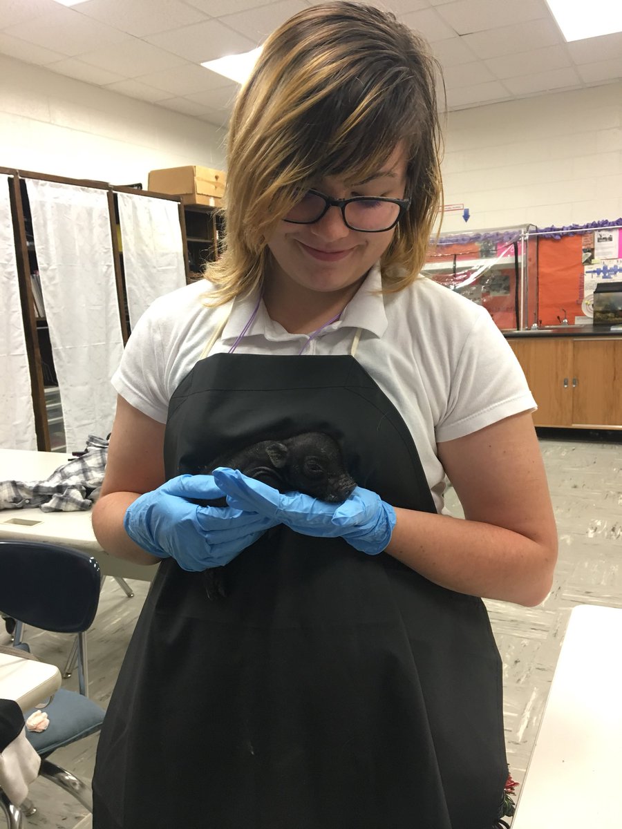 _bands_forever7's tweet photo. Welcome to the family Keyshia. 😋🐷🐽 @sciteacher17171 @EXCELAcademyHCS 
I've been here for a whole year and 3 months. EXCEL never fails to surprise me. https://t.co/SwmXmJ3OQQ