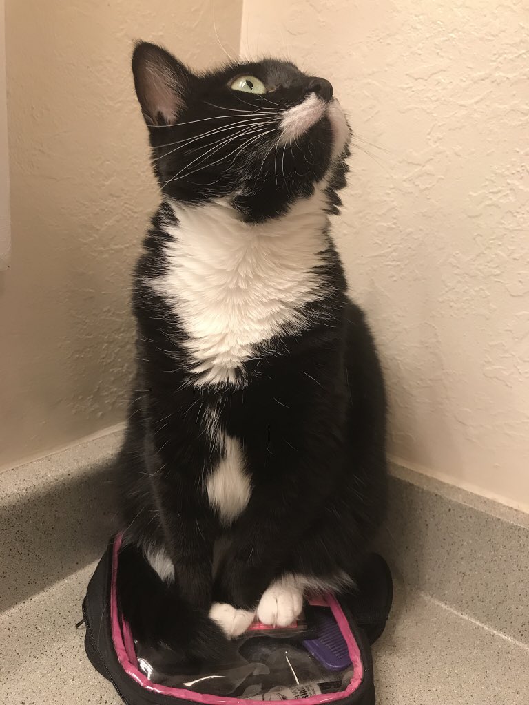 You put this here for me to sit on, right?
