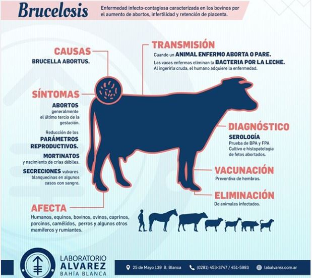 AGROPHARMA tweet media