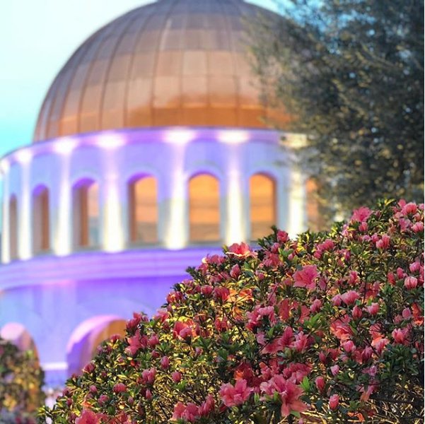 IgrejaUniversal's tweet photo. No Memorial do @JardimBiblico você encontra símbolos sagrados que vieram de Israel. Para mais informações sobre o tour, acesse: https://t.co/QV2TvLDIOE, ligue para (11) 3573-3535 ou envie sua mensagem para o WhatsApp (11) 95244-7461. #jardimbíblico #umpasseioalemdotempo https://t.co/EYD83xV5yp