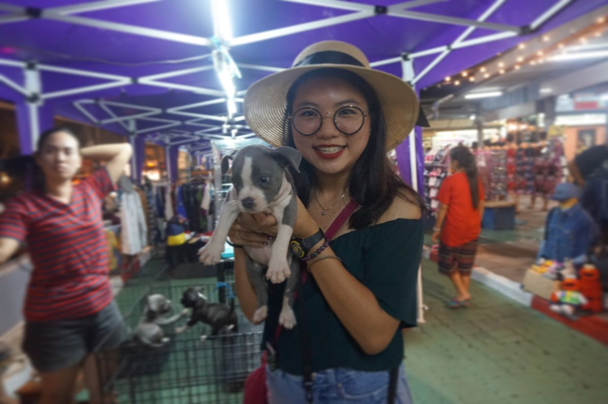 jasmine_tjb's tweet photo. Puppy says sabaideeee #HatyaiTrip #Thailand #Day2 #Family https://t.co/DWen7lU6HD