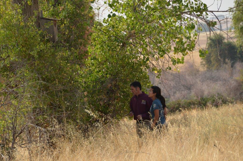 Sacramento Office on Twitter: "#FieldWorkFriday: @USFWSSac biologist