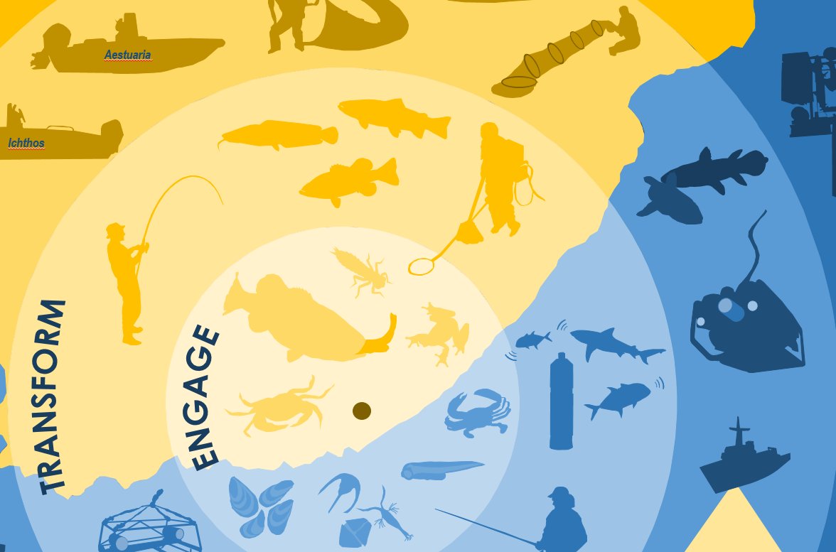Taryn Murray Sneak Peak Of The Nrf Saiab Poster I Ve Been Working On With Penny Haworth For The Nucleusrri Conference In Malta In October Teamfish Fishyfriday Aquaticbiodiversity T Co Mjd1j9o2cg