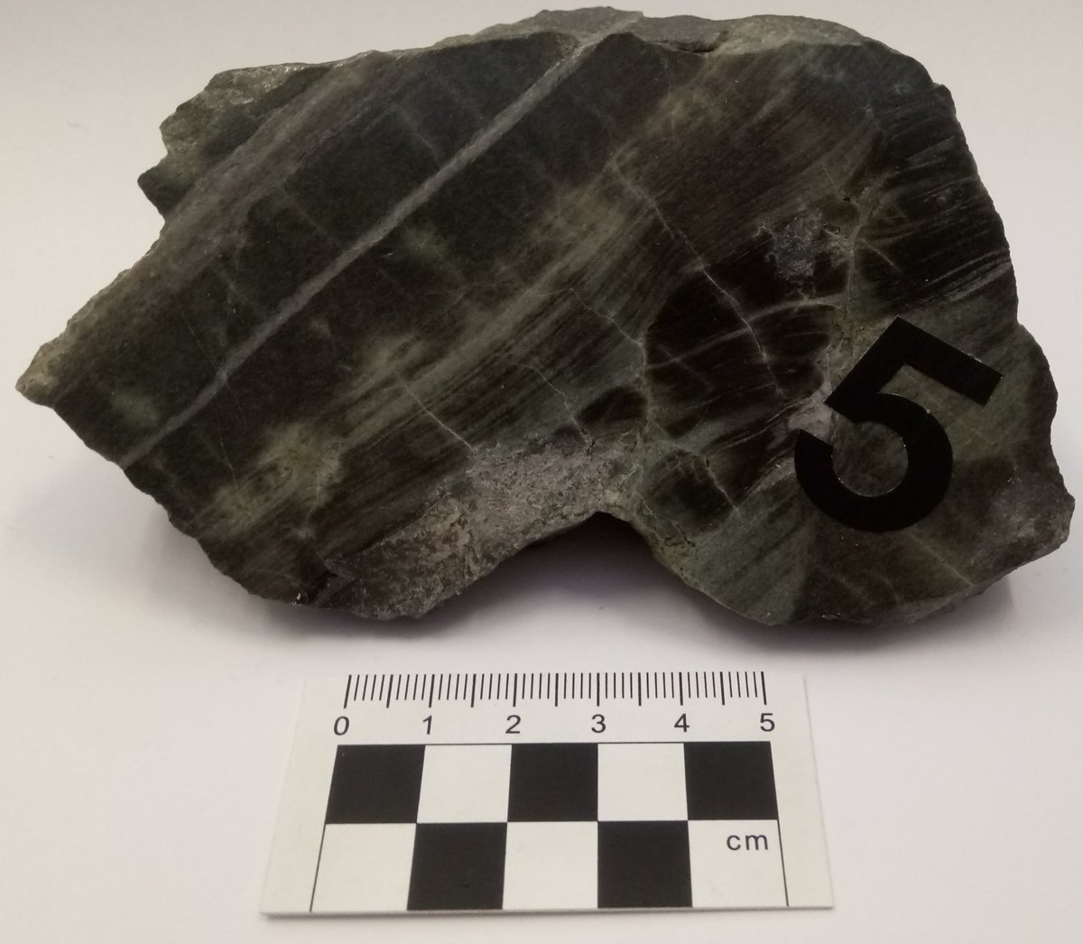 NHM_Petrology (@nhm_petrology) on Twitter photo Calcareous Quartz-Schist collected during the fateful 1924 Mallory-Irvine expedition to Mount Everest, Hymalayas, Tibet. Go and see it in real life! #NHMLates <a href="/NHM_Petrology/">NHM_Petrology</a> <a href="/NHM_Science/">Science at the Natural History Museum</a> <a href="/NHM_London/">Natural History Museum</a> Calcareous Quartz-Schist collected during the fateful 1924 Mallory-Irvine expedition to Mount Everest, Hymalayas, Tibet. Go and see it in real life! #NHMLates <a href="/NHM_Petrology/">NHM_Petrology</a> <a href="/NHM_Science/">Science at the Natural History Museum</a> <a href="/NHM_London/">Natural History Museum</a>