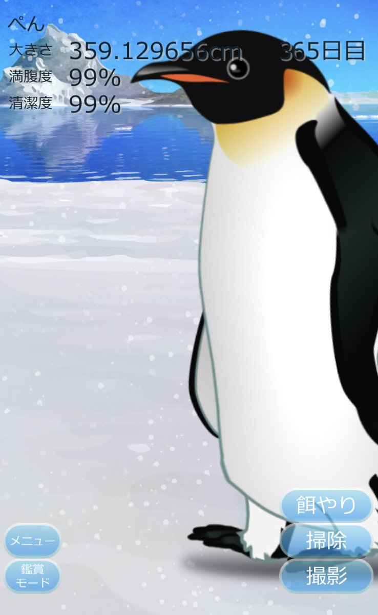 ペンギン育成ゲーム ペンギン育成ゲーム
