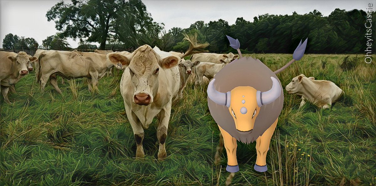 tauros hashtag on twitter