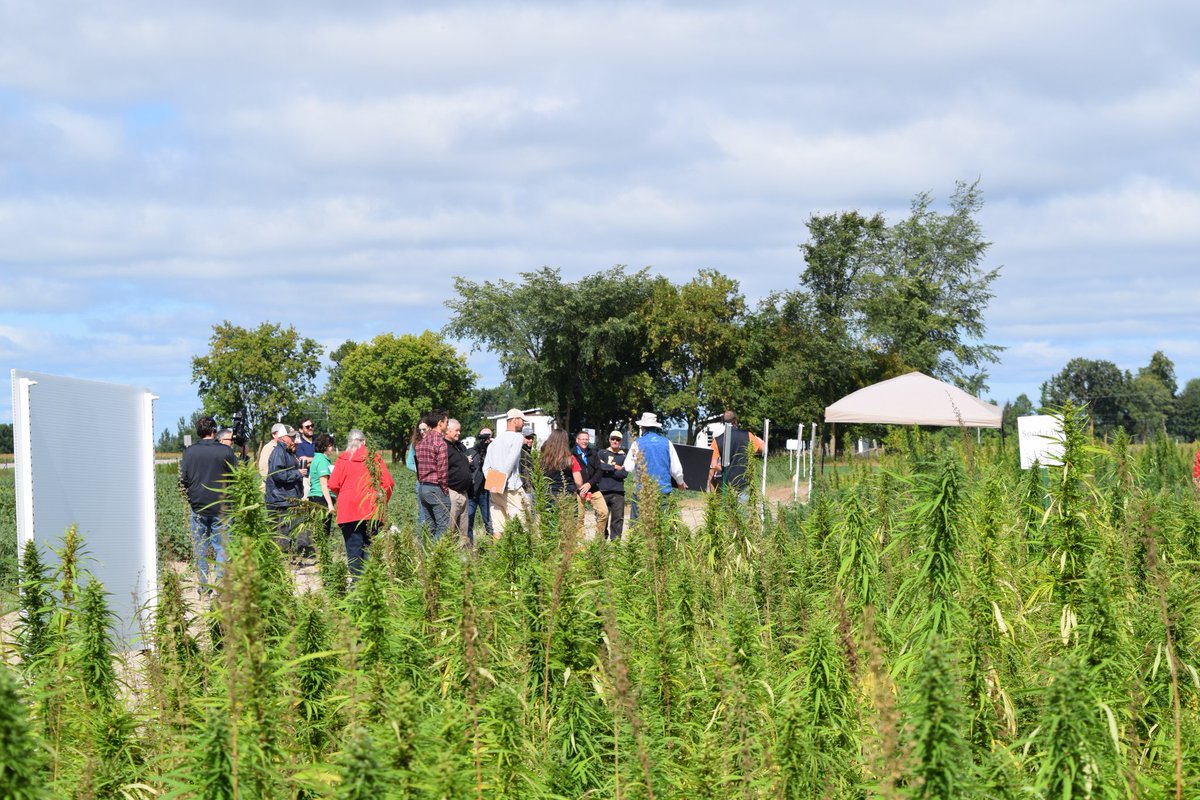 Valley Bio Ltd tweet media