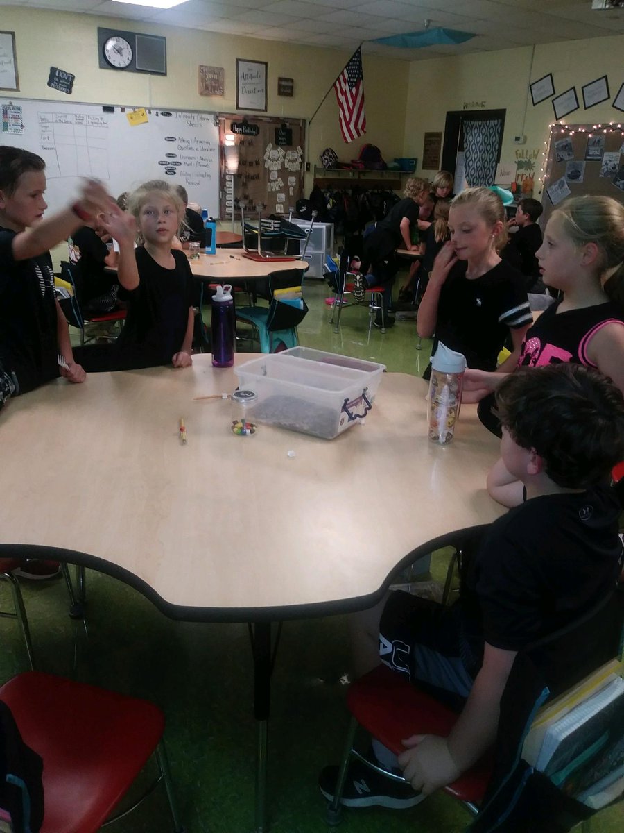 #scschat #ilewarriors More third grade STEAM Animal Adaptations