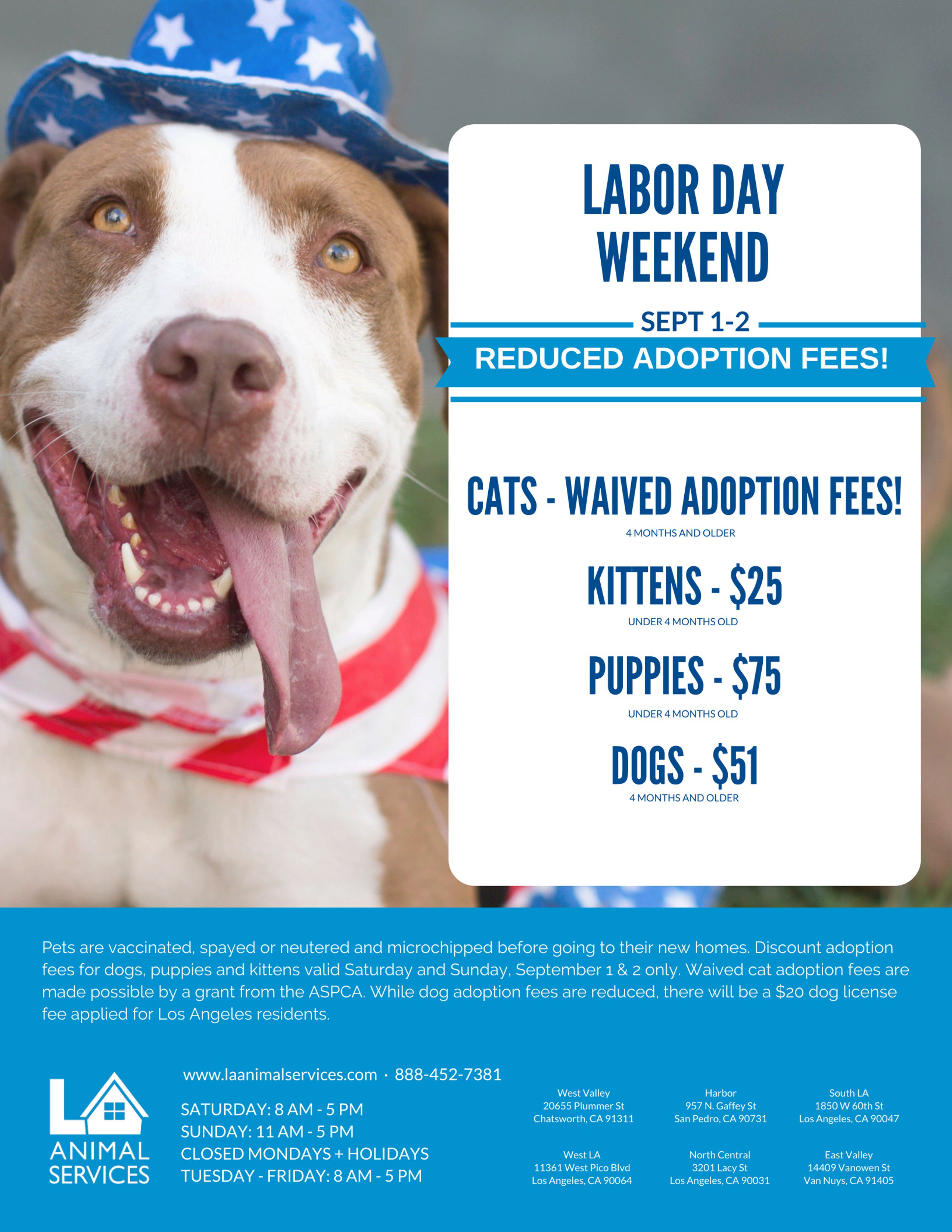 Waiving Adoption Fees at the ASPCA's Adoption Center