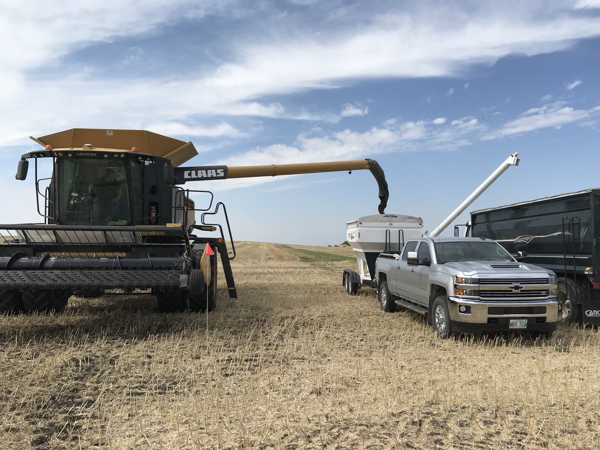RoncerayDan's tweet image. Special thanks to Albert Devloo for taking time to do a trial with us! @PioneerSeedsCA @alexdevloo @b_devloo #45CM39 #45M35 #bigbushels #YieldHero18
