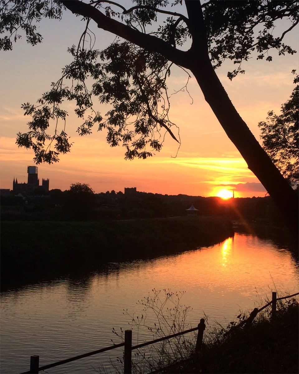 Barbara-Anne Robertson (she/her/hers) tweet media