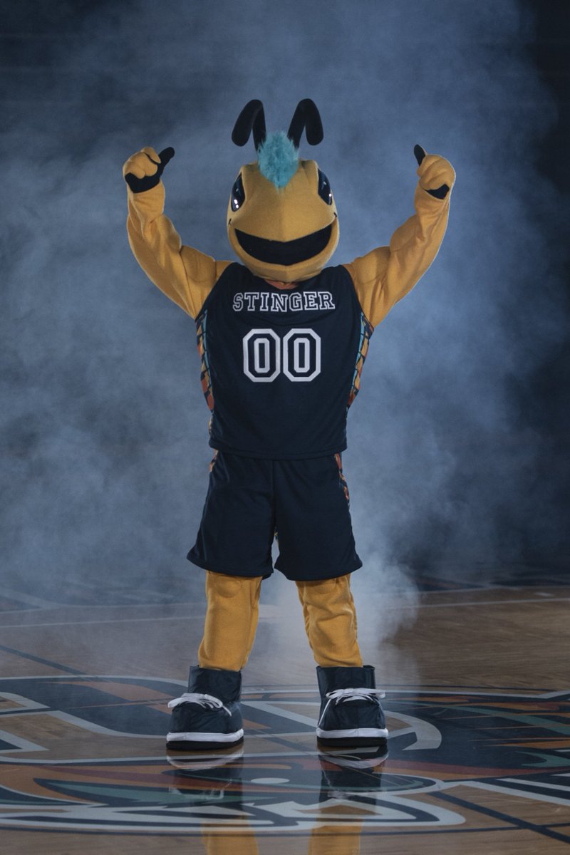 cedarville's tweet photo. Did you see Stinger in #CUinChapel today? 🙃 #BYCSISF https://t.co/skBCoATCVG