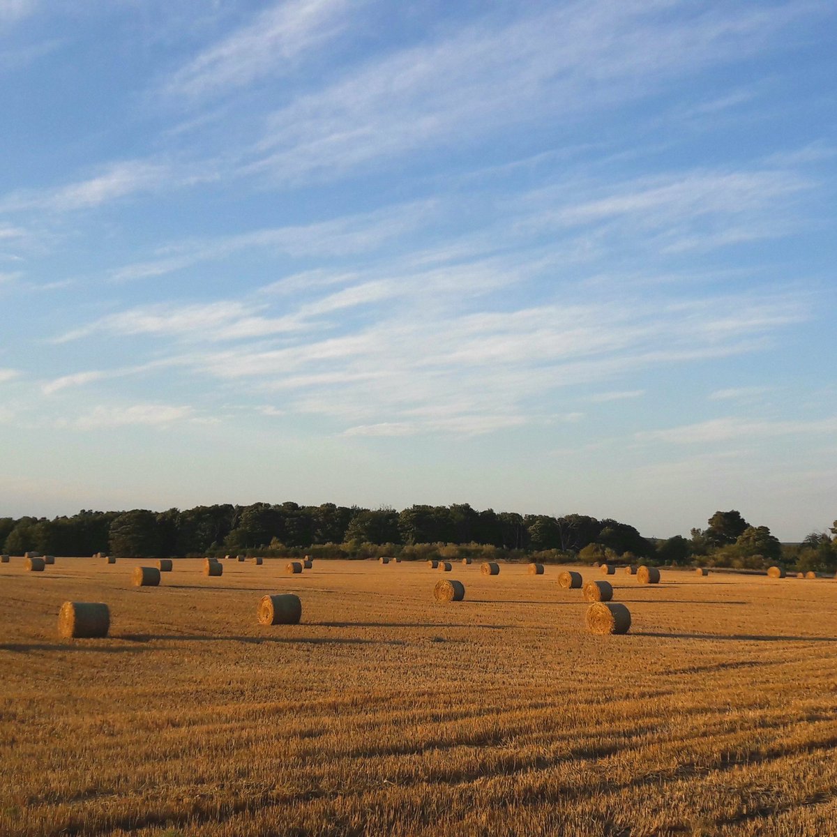 Milne05's tweet photo. Much easier to appreciate when you're nae doing bale shuttles #views #naefolk #fitfinemin https://t.co/mcjEfFQdG7