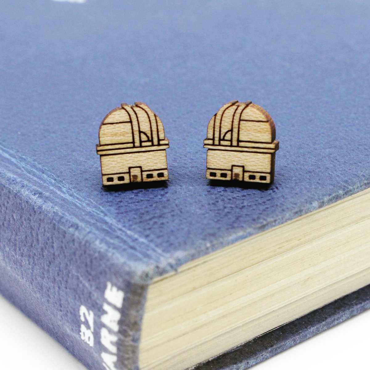 The Observatory design is now available as super cute ear studs! #observatory #palomarobservatory #spacejewellery #spacejewelry #sciencefashion #lasercutjewellery #astronomy #astronomyjewellery #astronomyjewelry