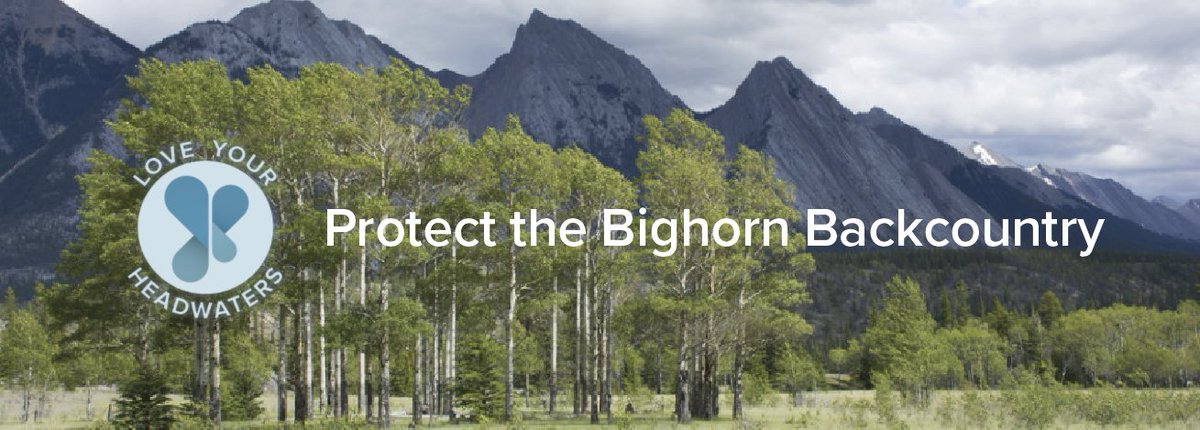 albertapreserve's tweet photo. Where is your favourite place to hike?

We love Ram Falls in the Bighorn.

We encourage you to write to Minister Phillips, asking to protect the Bighorn backcountry as a wildland park. You can use our letter writing tool here: https://t.co/XYKOt7AfoQ https://t.co/TKvzecPQyR