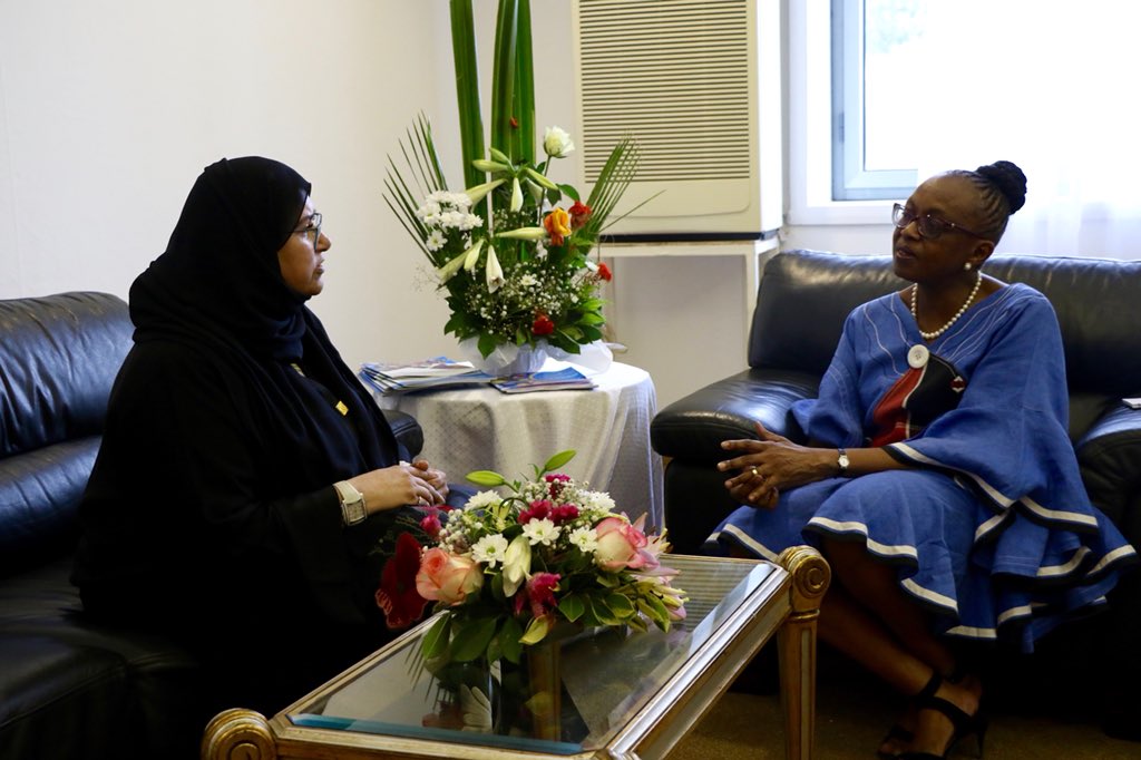 WISHQatar's tweet photo. We are very grateful to @MoetiTshidi for giving us the opportunity to attend the 68th session of the WHO Regional Committee for Africa, to learn about the pressing #healthcare issues facing the region and to brief delegates about the forthcoming #WISHQatar18 #AFRC68 https://t.co/jD8EKPNrN4