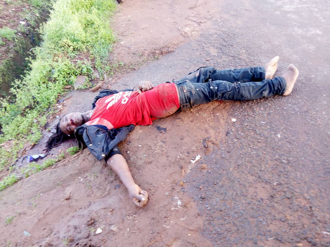 JosephAwali's tweet photo. Our people of southern Cameroon are been killed litter on the street by Paul Biya military and the international community is silent https://t.co/mVUzvLhEsJ