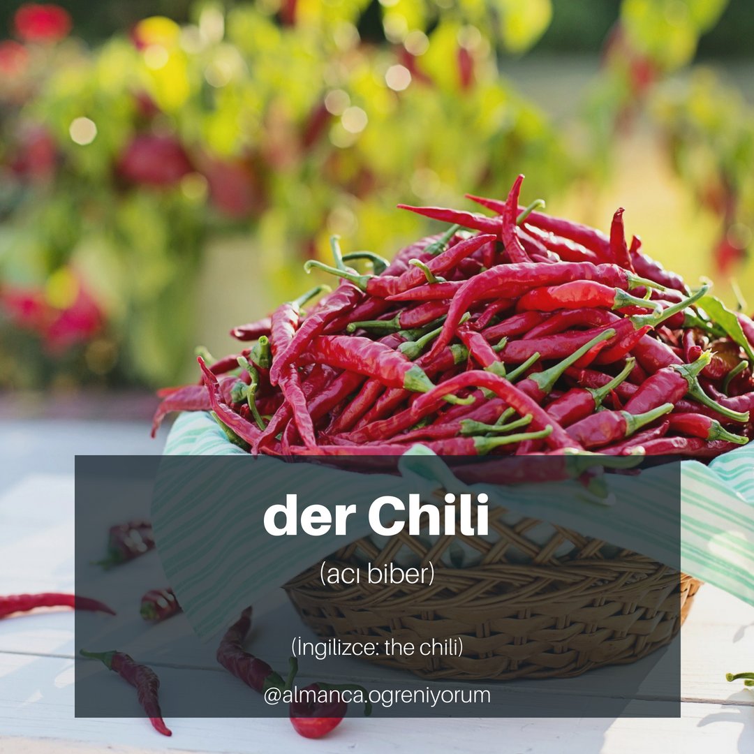 almancaogren1's tweet photo. Ich mag Chili 🌶 #almanca #chili #acibiber https://t.co/jUZyl4ijPF