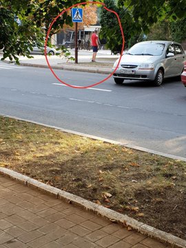 Посмотреть изображение в Твиттере