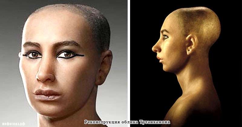 Почему голова вытянутая. Тутанхамон реконструкция. Тутанхамон реконструкция внешности. Яйцеголовые Нефертити. Нефертити реконструкция внешности.
