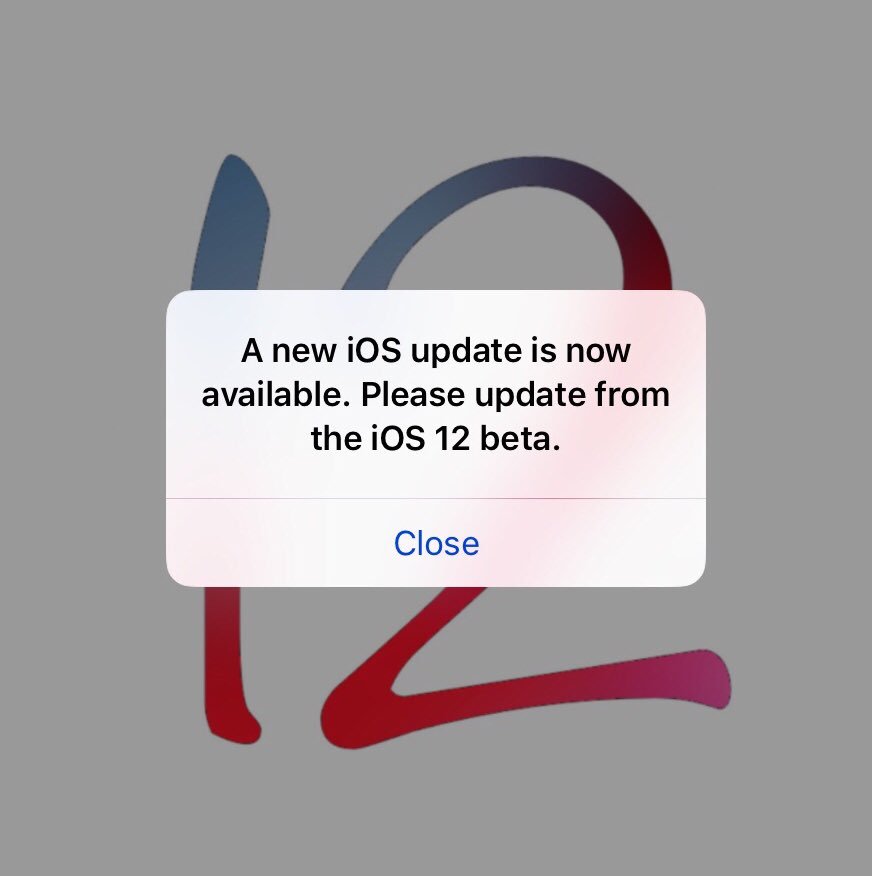 iSpeedtestOS's tweet photo. iOS 12.0 Developer Beta 12 and Public Beta X (10) released by Apple!
Build: 16A5366a
Get involved in Apple‘s Public beta program for free: https://t.co/Xt0SEdPqp8
Speedtests will be delayed by about 2 hours, I’m really sorry.
#iOS12DevBeta12 #iOS12Beta12 #iOS12PublicBeta10 https://t.co/w0exF6sm3h