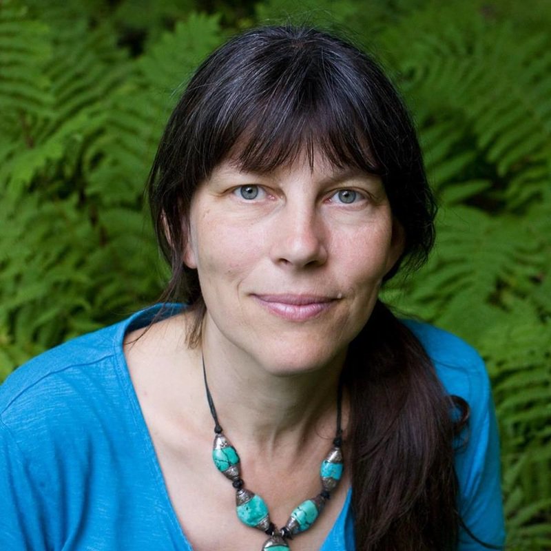 grow_ahead's tweet photo. ONLINE COURSE ➡️ Join author @DidiPershouse for a live, interactive online course in September to learn about the #soilsponge and how to effectively restore the function of a #watershed through soil health practices: https://t.co/zLzdcuzNSb #regenerativeag #resilience https://t.co/HTFG57Emgt