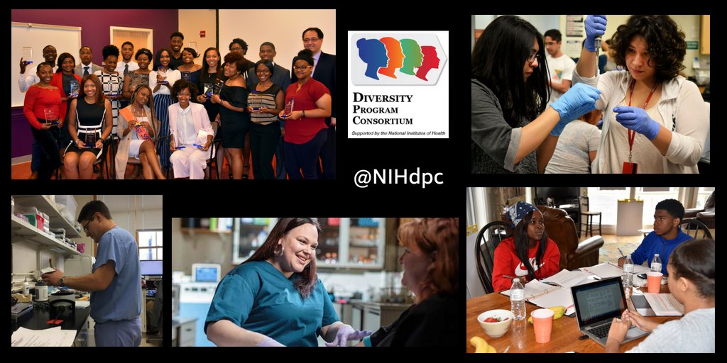 NIH's tweet photo. Because institutional culture change takes time, BUILD programs are asking how to foster #ResearchCapacity at institutions & what elements contribute to inclusive #research experiences: https://t.co/PgqvsxrORt #DiversityMatters #ThisIsNIGMS #ThisIsNIH https://t.co/IxU2gjCnAT