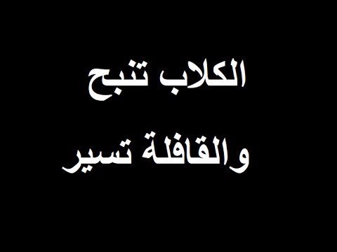 القافله تسير والكلاب تنبح قل ماشئت بمسبتي