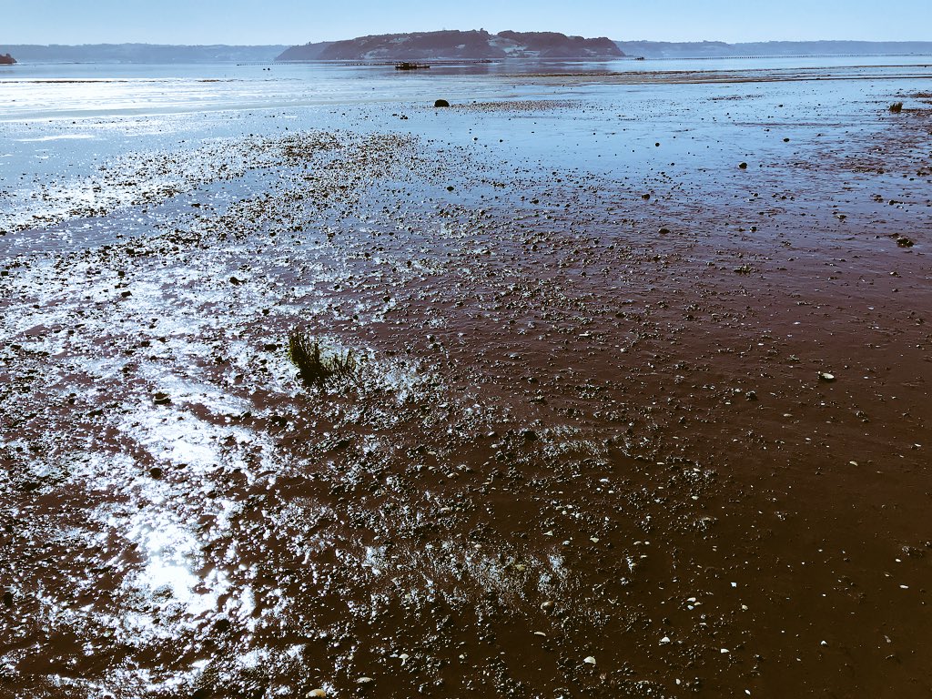 LosLagosBBNN's tweet photo. Ruta Patrimonial 59 @MinisterioBBNN sector #pullao #chiloe Seremi @jorgemorenooyan recorre junto a municipios #dalcahue #castro #quinchao #CuracodeVelez y ONG @CECPAN su estado actual #ChileLoCuidamosTodos 🇨🇱 #ChileLoHacemostodos #BBNNenterreno https://t.co/bIjfm0srZf