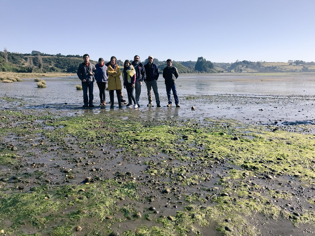 LosLagosBBNN's tweet photo. Ruta Patrimonial 59 @MinisterioBBNN sector #pullao #chiloe Seremi @jorgemorenooyan recorre junto a municipios #dalcahue #castro #quinchao #CuracodeVelez y ONG @CECPAN su estado actual #ChileLoCuidamosTodos 🇨🇱 #ChileLoHacemostodos #BBNNenterreno https://t.co/bIjfm0srZf
