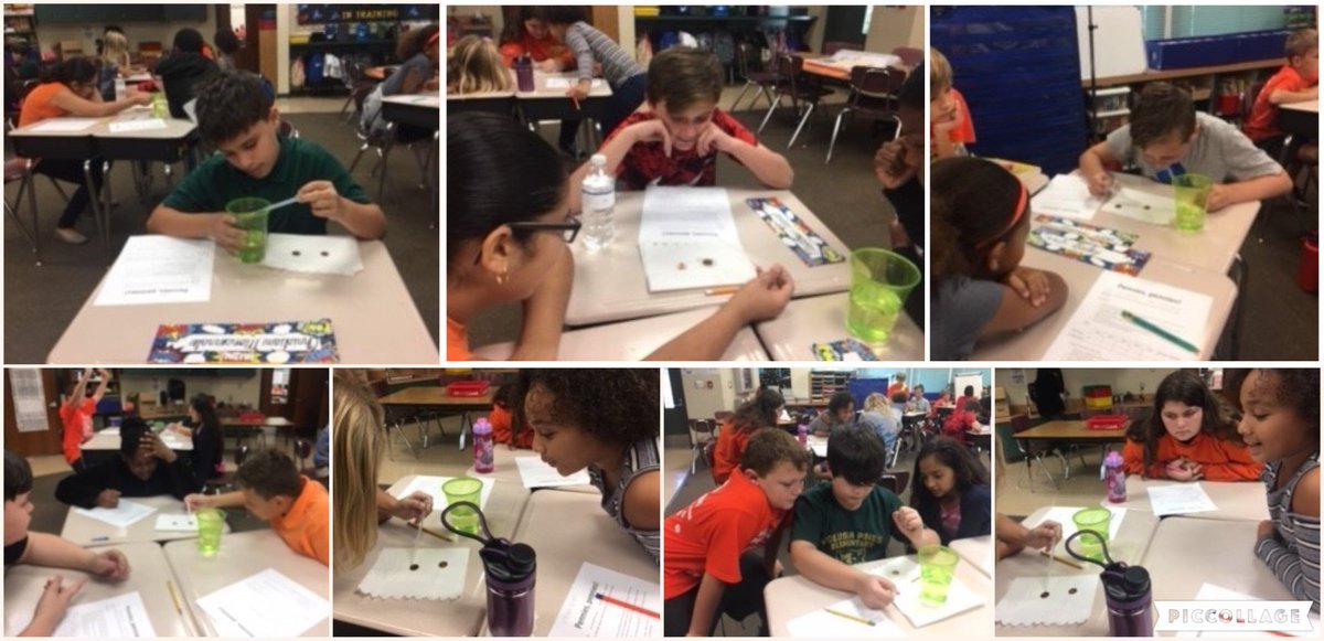 Volusia_Pines's tweet image. Pennies, Pennies! Will older pennies hold more water on their surfaces than newer pennies? #VCSscience