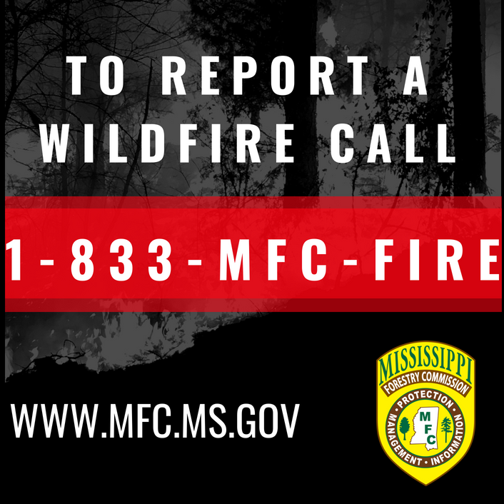 MSForestryComm's tweet image. Did you know, the MFC has one number you can call to report a wildfire or get a burning permit anywhere in Mississippi? Call: 1-833-MFC-FIRE

Learn more, here: bit.ly/NEWReportWildf…

#MSFire #Forestry #Mississippi #Wildfire #Wildfires #ForestFactFriday #DidYouKnow #DYK