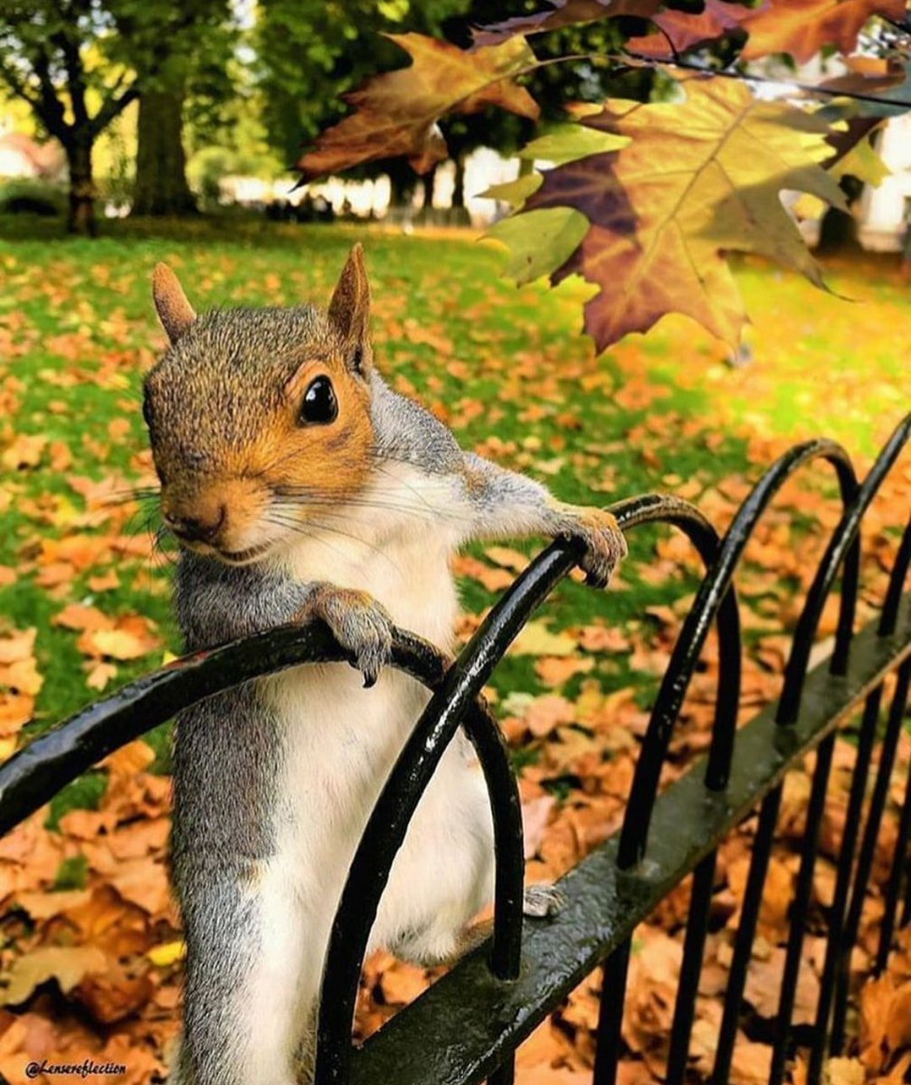 <a href="/ntomova1/">nevyana</a> ❤😚🌷❤😚🌷❤Thanks Sooo much my dearest Nevyana🌹please enjoy a very happy🌹🌹🌹 weekend❤😚🌷❤😚🌷❤