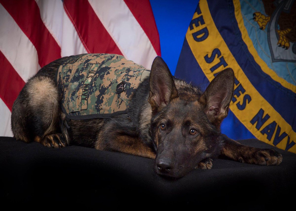 RelayHealth/Military Health on Twitter