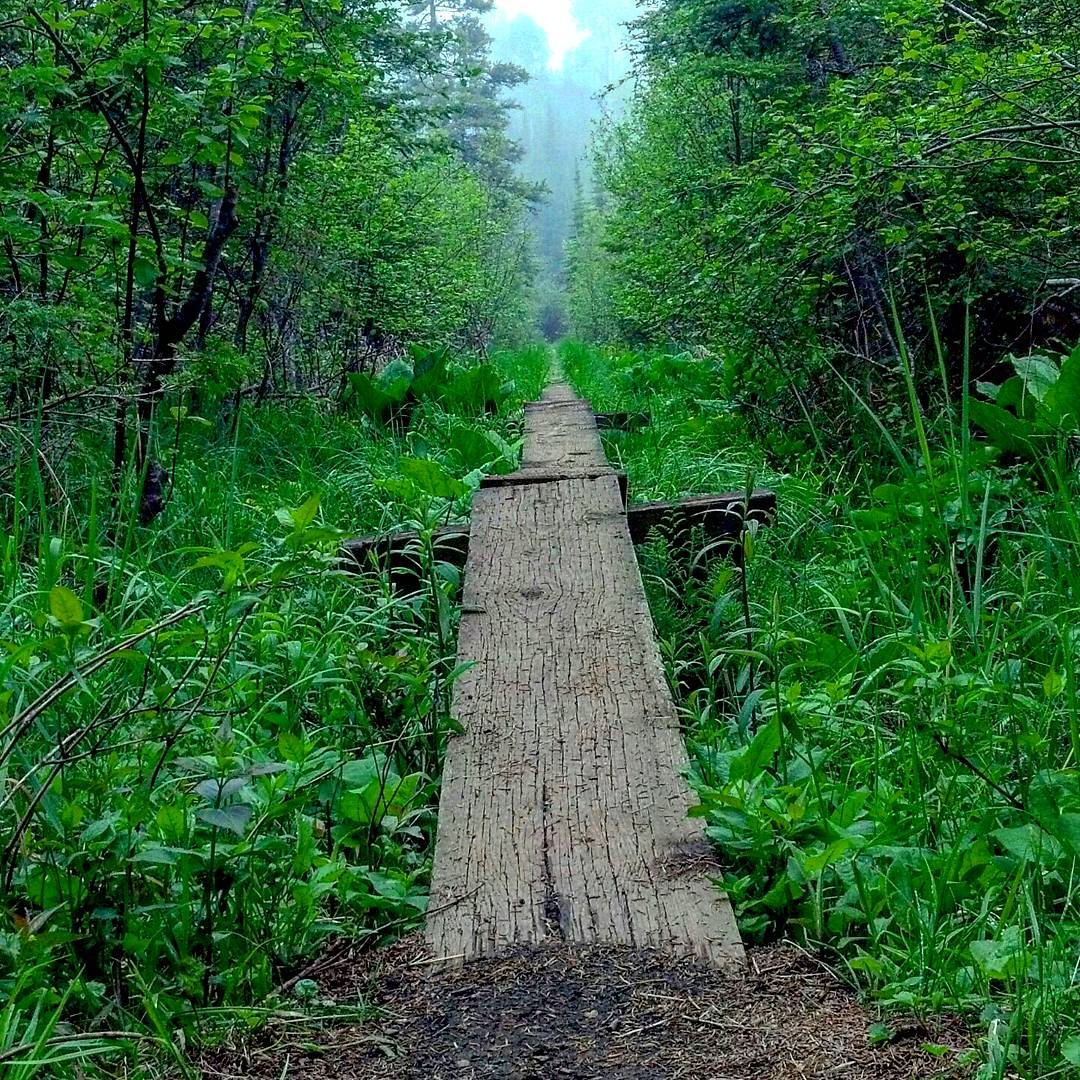 Detroit Metro Times On Twitter 30 Stellar Michigan Hiking Trails To Explore Https T Co Eeaf2hn1pv