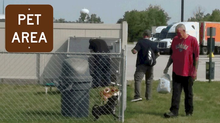 TATravelCenters's tweet photo. New to the Petro North Baltimore, OH, Pet Area is a dog washing station. On your next visit, get your furry copilot fresh and clean! https://t.co/7p0T7FdEy5