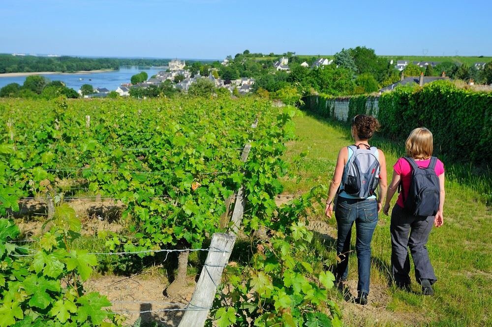Saumur_Champ's tweet photo. 🎉 À la veille de ce weekend de festivités  🎉

Petit rappel : Vous pourrez vous restaurer grâce à un marché d’artisans de bouche et un food truck pour vous régaler de crêpes salées ou sucrées accompagnées d’un groupe de musique #SaumurChampigny #ValDeLoire #VVR2018 https://t.co/MpfmjbXGWh