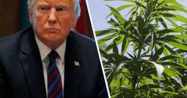 ICYMI: Despite claiming to support states rights on cannabis, <a href="/BuzzFeedNews/">BuzzFeed News</a> reported that the White House has secretly amassed a committee of federal agencies from across the government to combat public support for marijuana.  buff.ly/2N2nKUQ