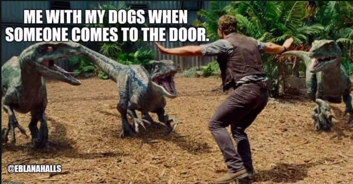 darlingmatch's tweet image. "I swear they're friendly!"