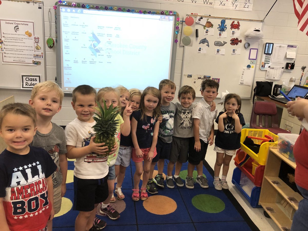 miss_amanda11's tweet photo. Passing the pineapple in Pre-k! #personalbestbgsa #bgsaprek https://t.co/kfPCza70bK