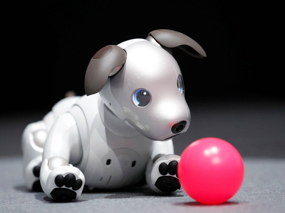 Aibo, Sony’nin yeni robot köpeği kesinlikle çok güzel ve oldukça pahalı techhaber.net/aibo-sonynin-y…